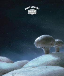 Calgary FarmersMarket卡尔加里农贸市场平面广告