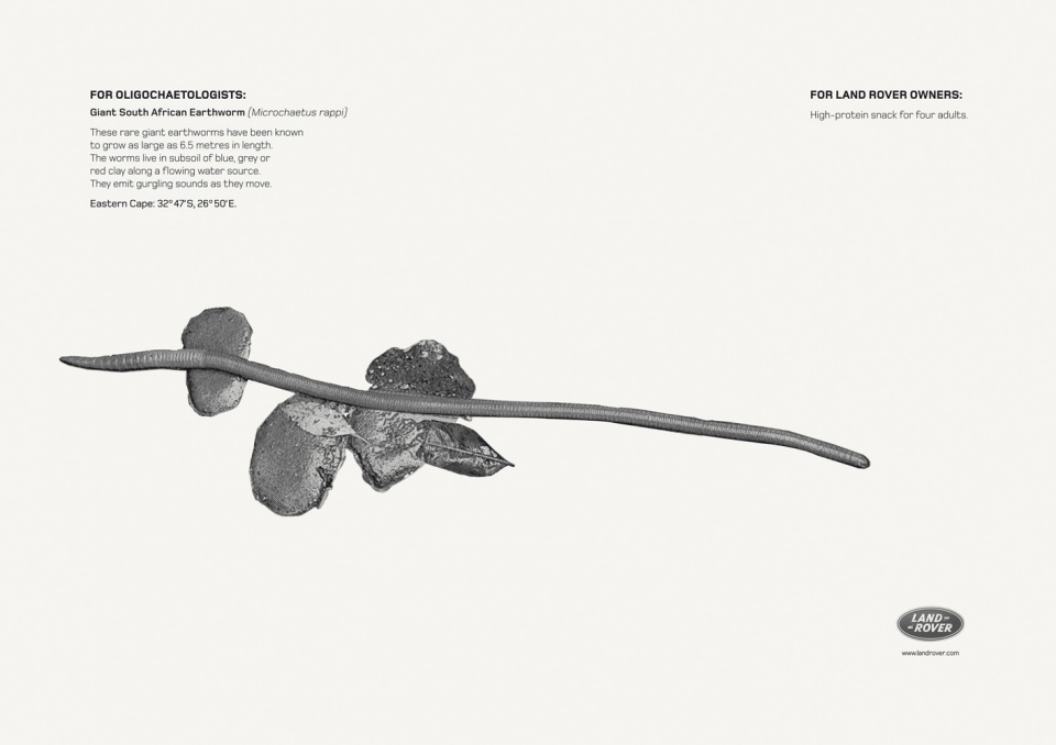 路虎2011创意平面广告-Luminous Millipede夜光千足虫---酷图编号6