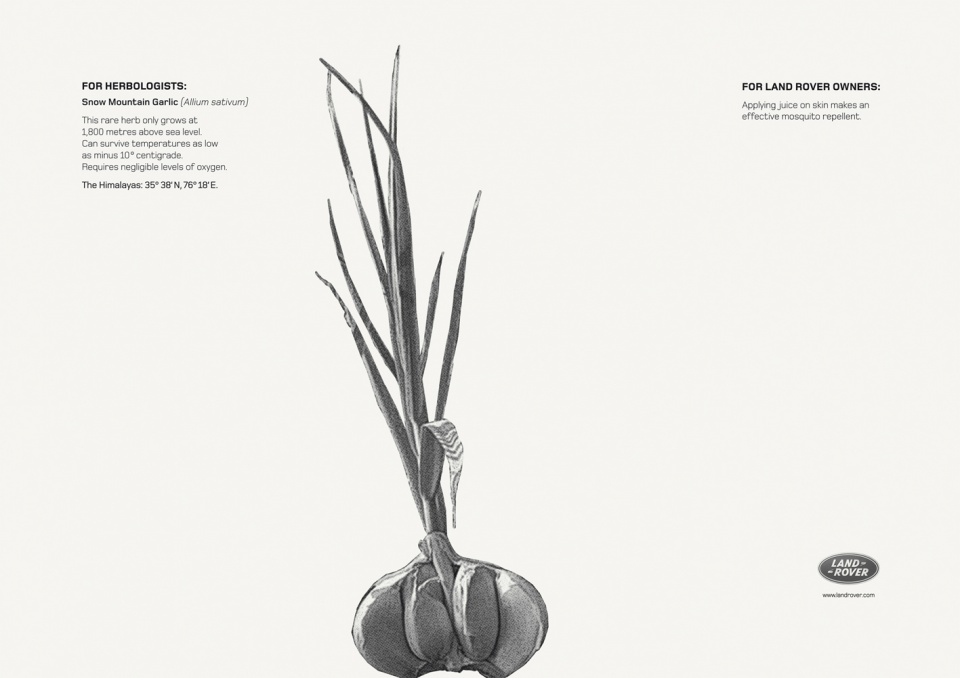 路虎2011创意平面广告-Luminous Millipede夜光千足虫---酷图编号5