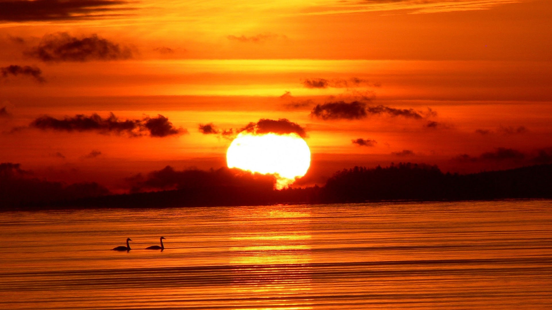 壁纸 黎明海，日出，云海，美丽的自然景观 3840x2160 UHD 4K 高清壁纸, 图片, 照片