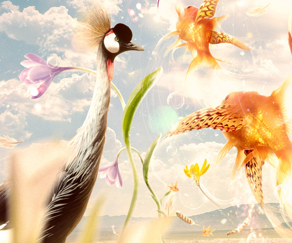 Joice Magazine Covers乔斯杂志封面---酷图编号3