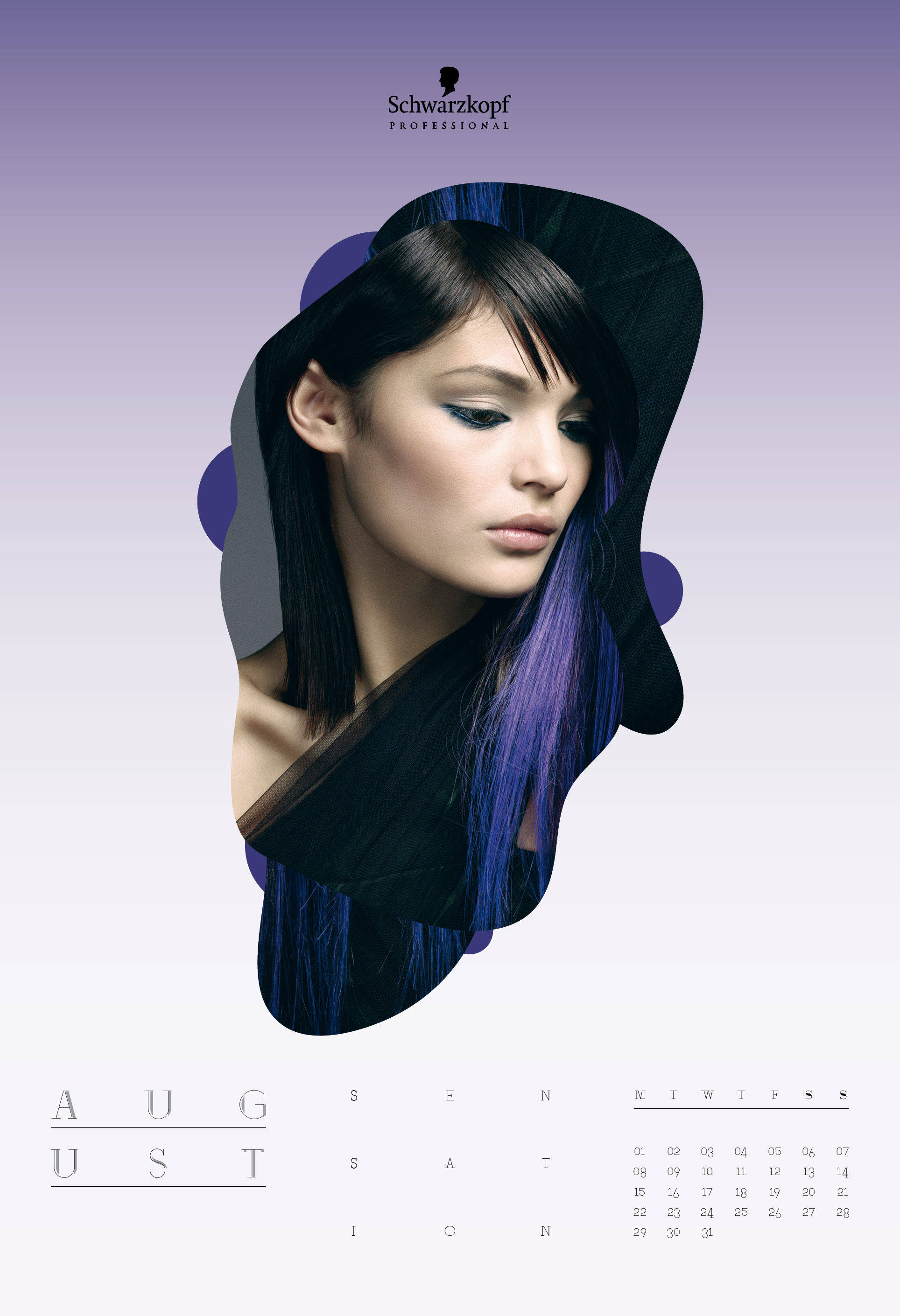 standard calender 2011施华蔻 -标准日历