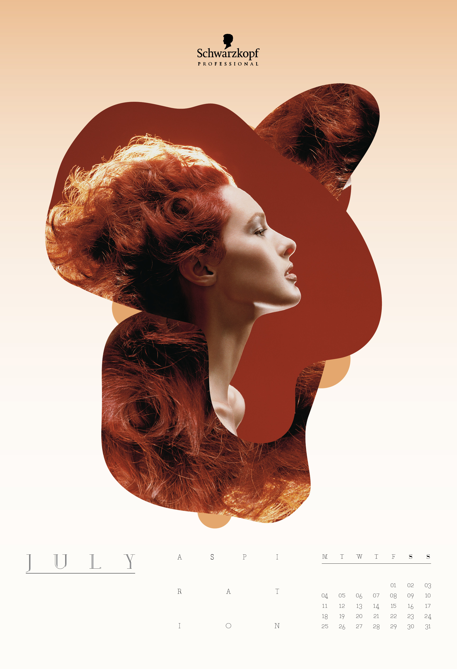 standard calender 2011施华蔻 -标准日历