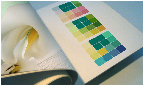 美国Colgate-Palmolive Helix高露洁棕榄螺旋护肤品香皂---酷图编号16