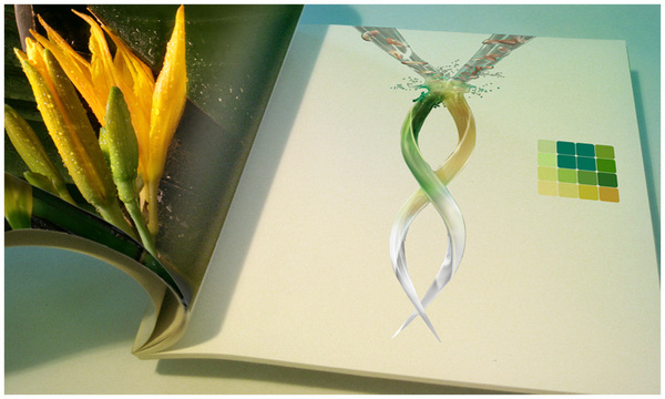 美国Colgate-Palmolive Helix高露洁棕榄螺旋护肤品香皂---酷图编号12