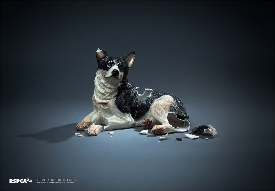 英国RSPCA宠物动物福利保护平面设计---酷图编号2