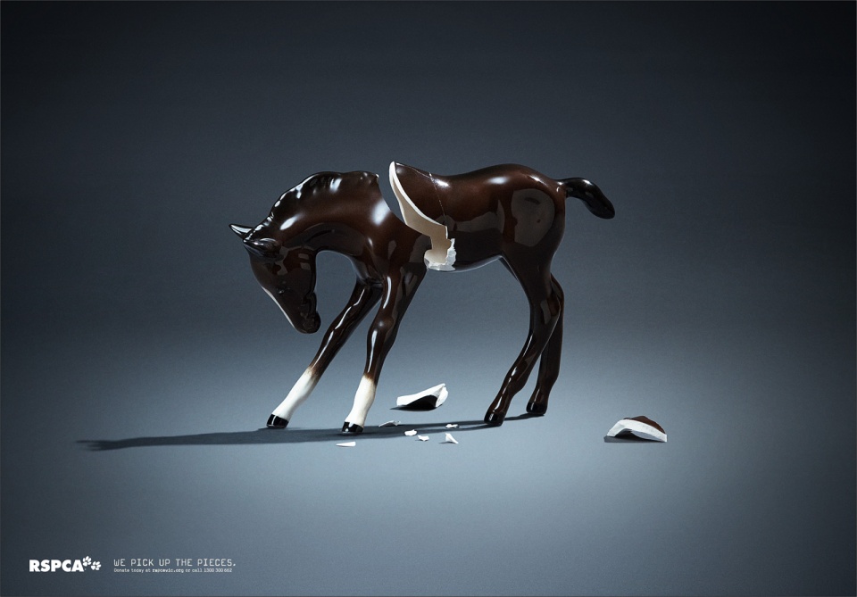 英国RSPCA宠物动物福利保护平面设计---酷图编号1