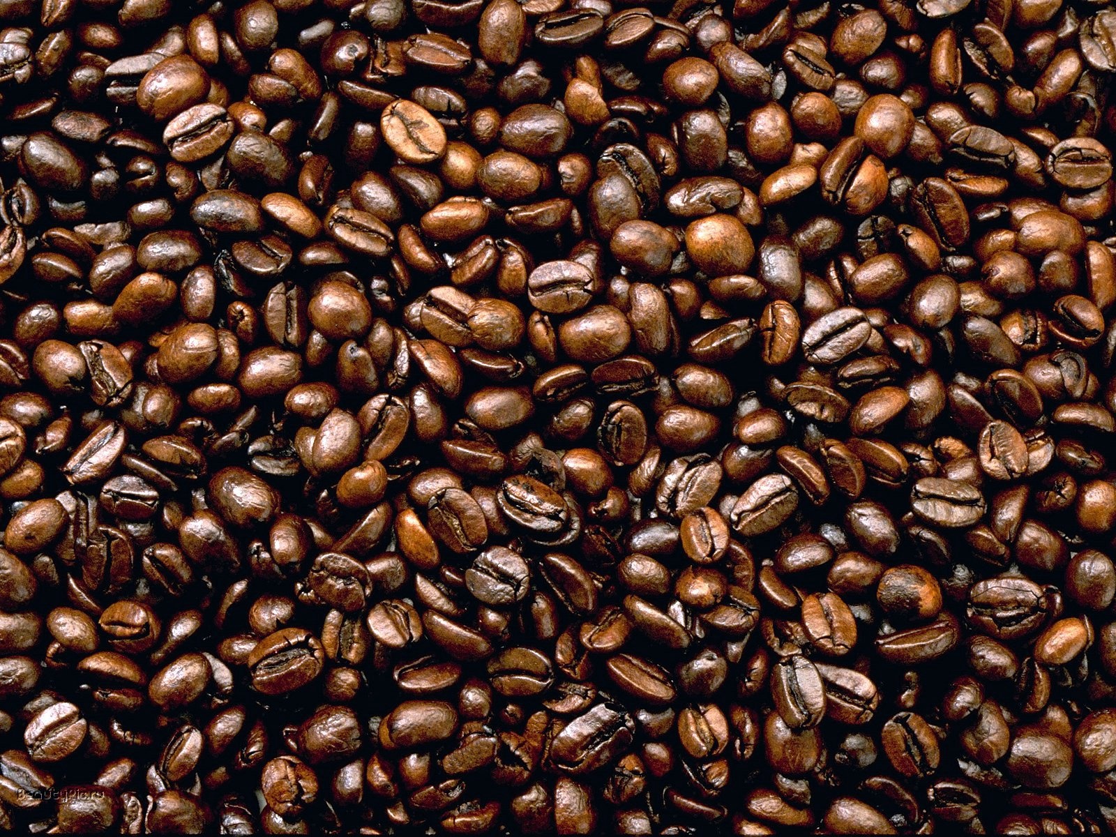 高清晰食品类摄影清晰图---酷图编号3