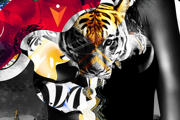 PANDA熊猫实验艺术作品插画---酷图编号1