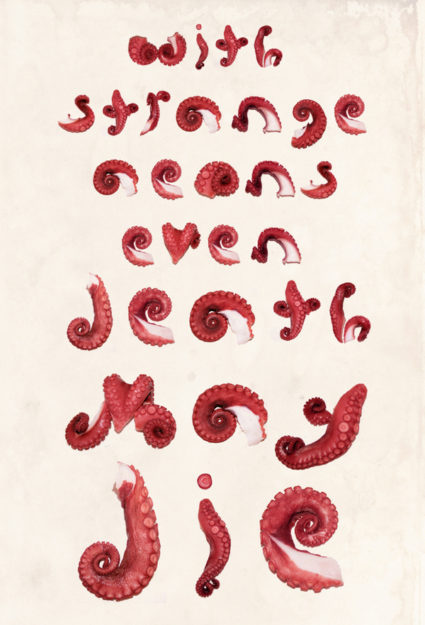 欧美2D Typography Projects鱿鱼字体---酷图编号1