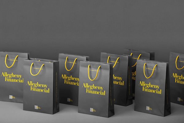 Allegheny Financial品牌宣传册设计---酷图编号3