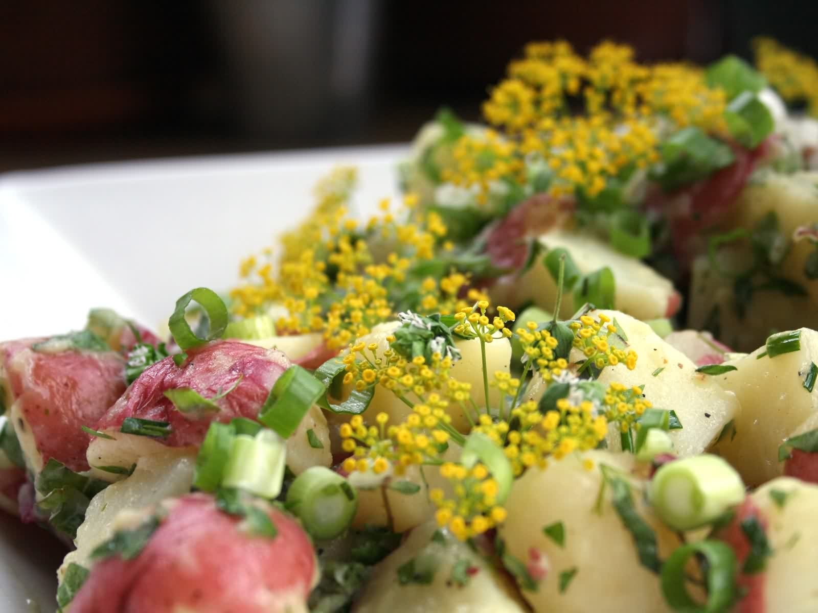 高清晰西餐美食图-馋---酷图编号1