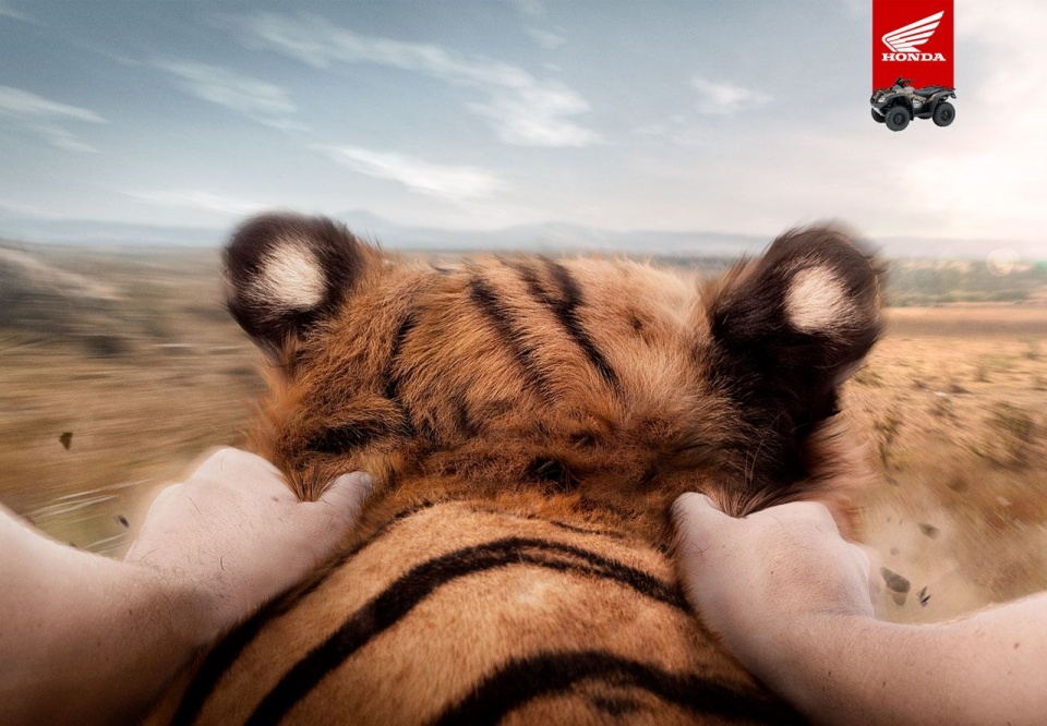 本田HONDA汽车服务平面图片