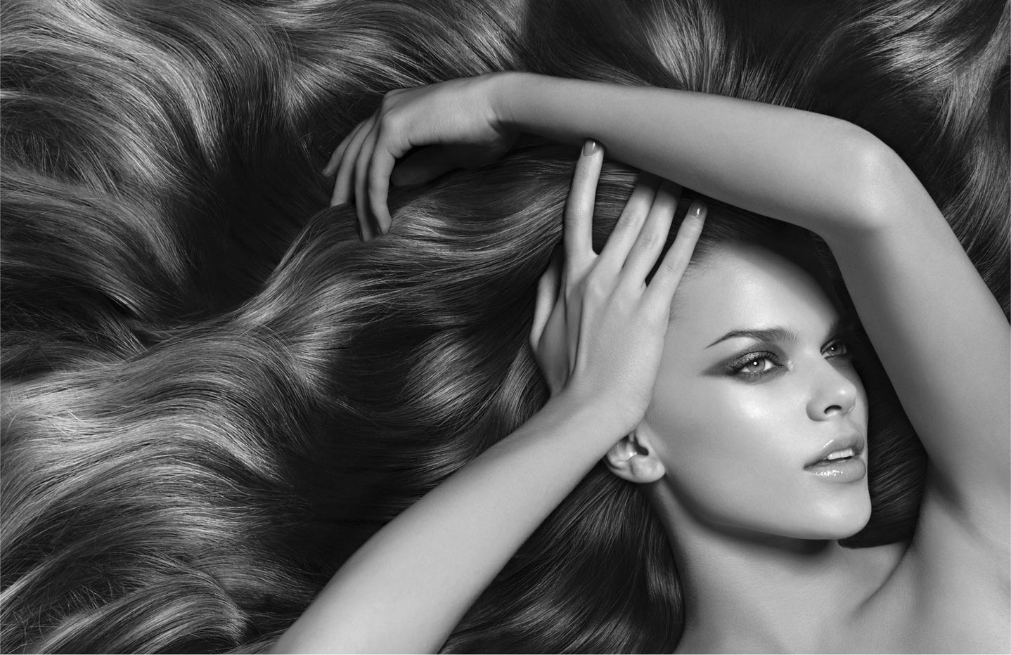 当前位置:网站首页 - 图库素材 - 艺术摄影 - 秀发 美发,秀发等领域感