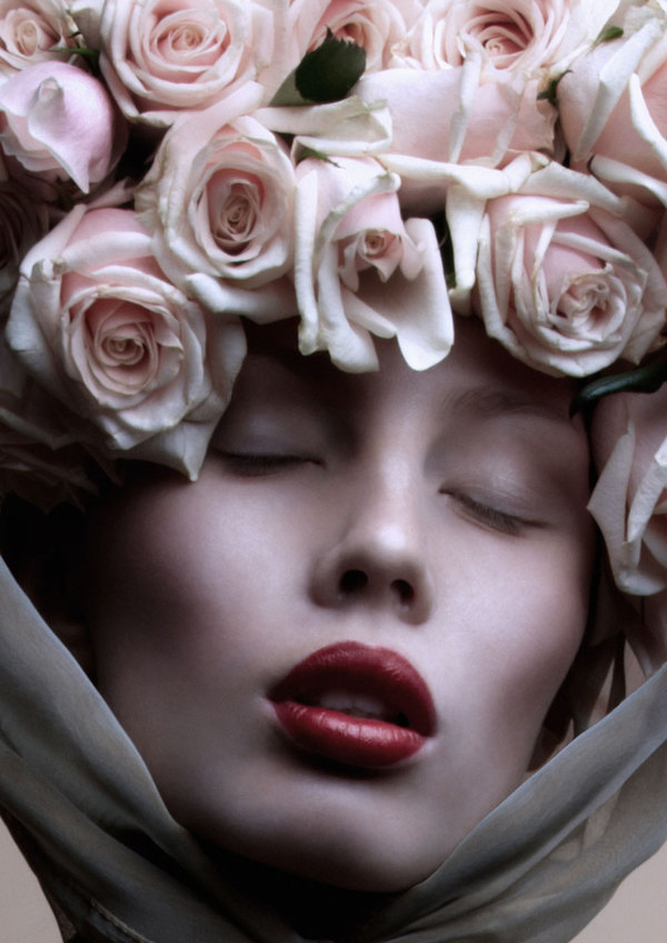 Roses-美人花图片