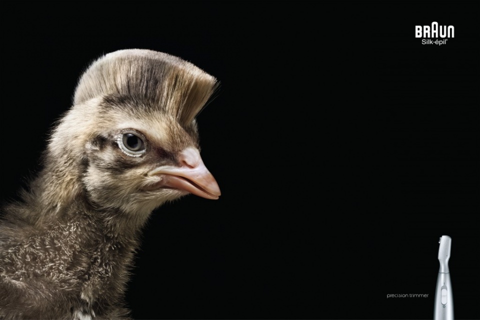 Braun家居日常用品平面广告图片