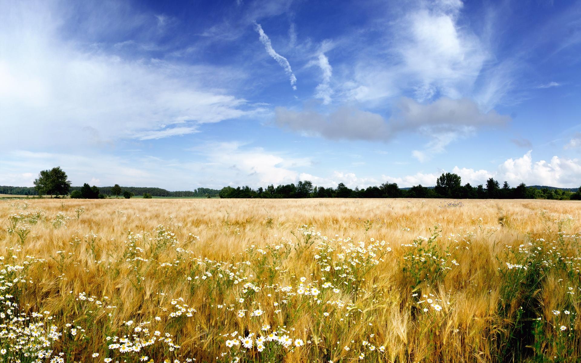 高清晰国外风情风景图---酷图编号8