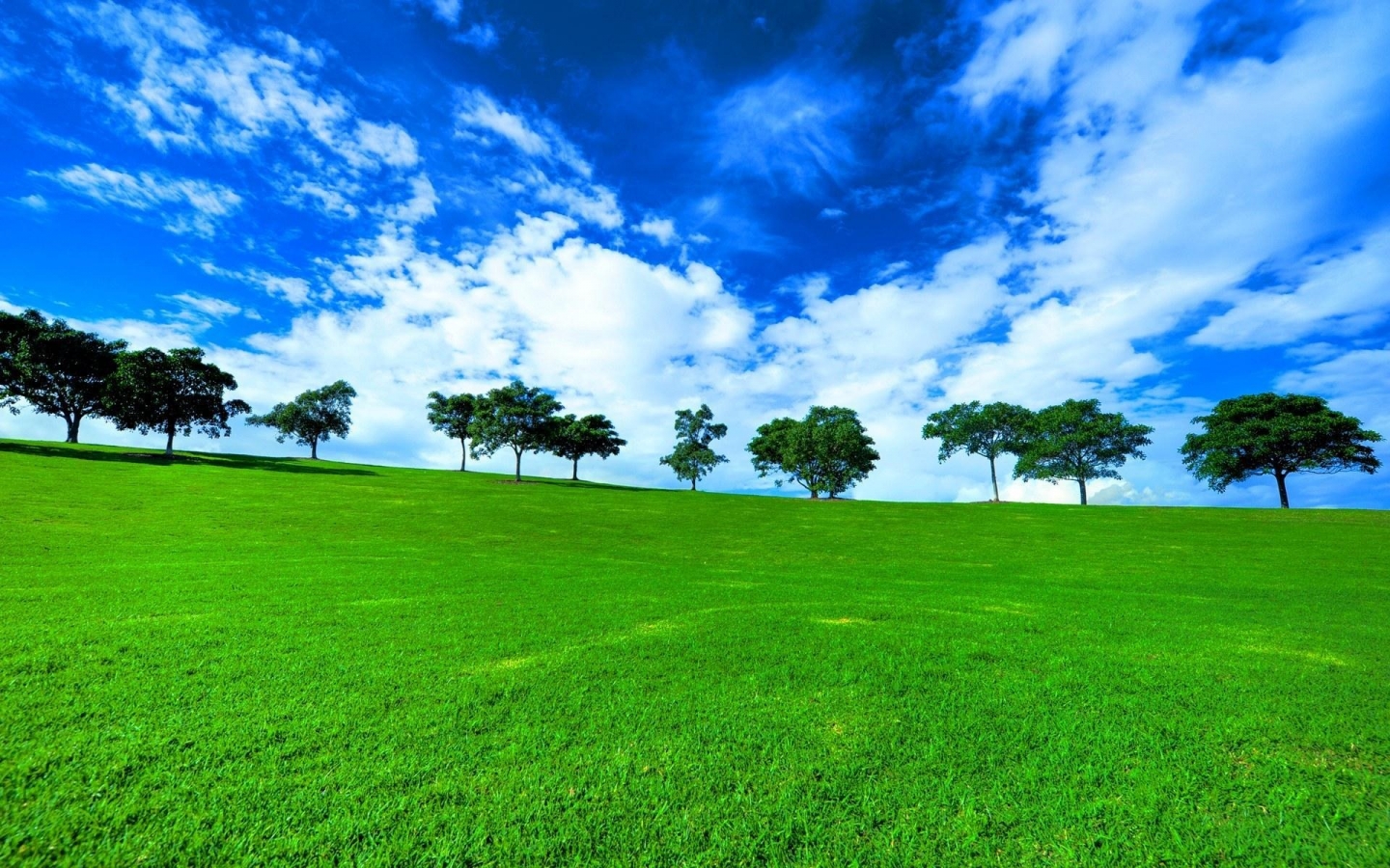 草地与树林风景图片 - 免费可商用图片 - CC0素材网
