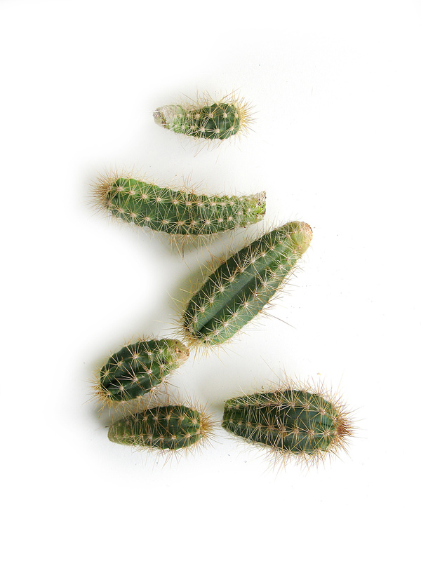 欧美Diary Type 02另类组合字体设计---酷图编号15