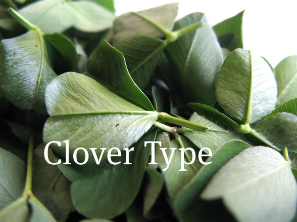 欧美Diary Type 02另类组合字体设计---酷图编号9