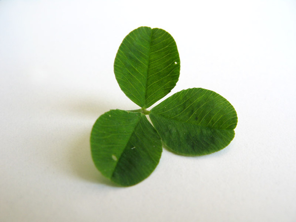 欧美Diary Type 02另类组合字体设计---酷图编号8