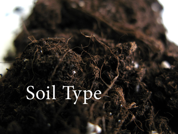 欧美Diary Type 02另类组合字体设计---酷图编号4