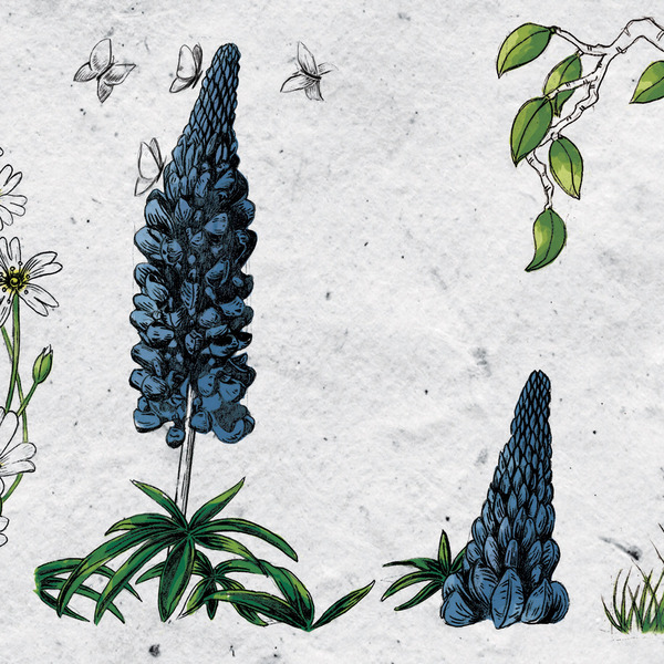 冰岛雷克雅未克创意师Stella Björg-植物花纹字母组合---酷图编号8