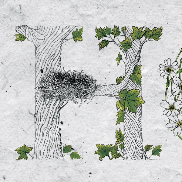 冰岛雷克雅未克创意师Stella Björg-植物花纹字母组合---酷图编号2