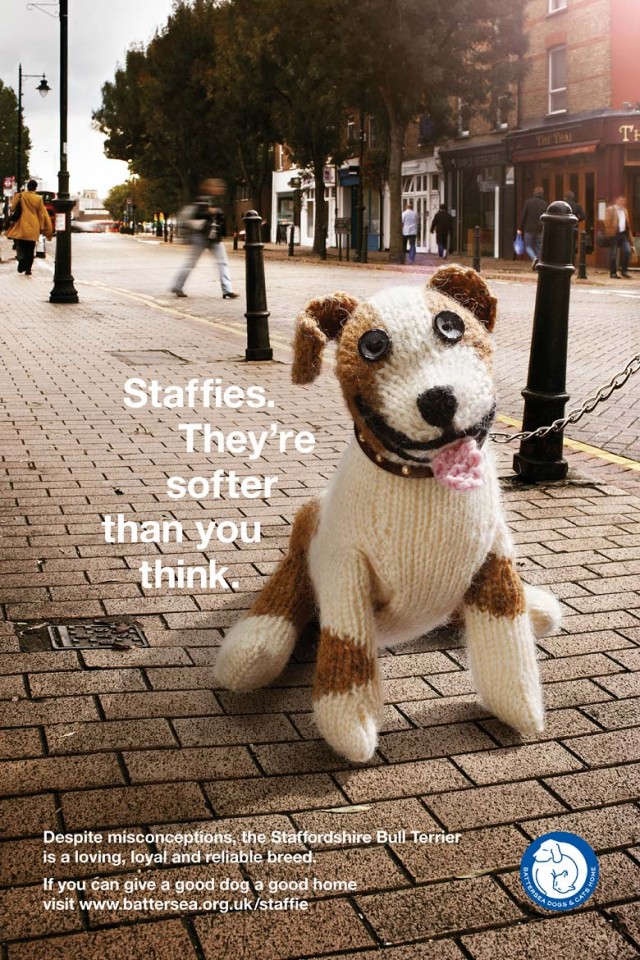 巴特西狗和猫家园-公益平面图片