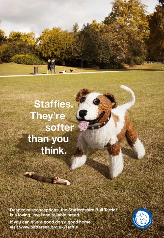 巴特西狗和猫家园-公益平面---酷图编号1