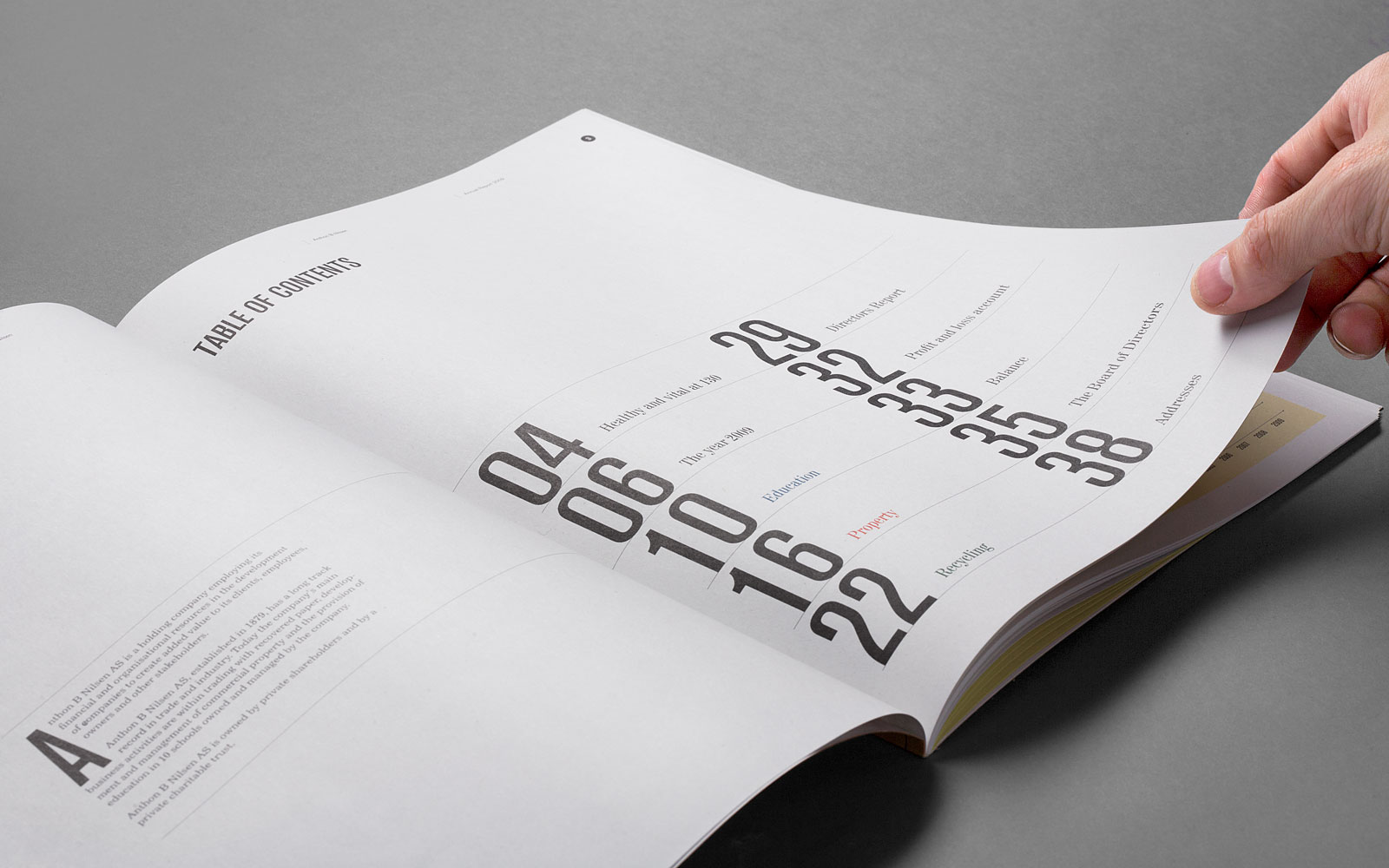 挪威设计工作室-时尚大气宣传册设计---酷图编号11