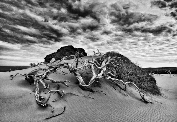 澳大利亚珀斯Mark Boyle摄影师作品-Monoscapes黑白风景---酷图编号20