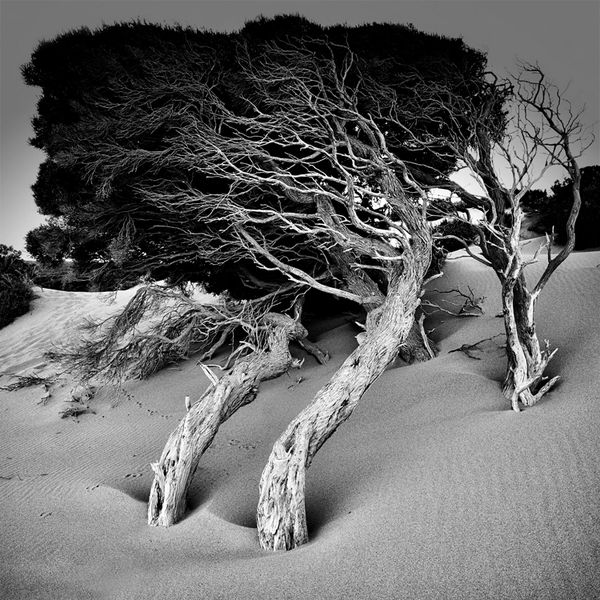 澳大利亚珀斯Mark Boyle摄影师作品-Monoscapes黑白风景---酷图编号8