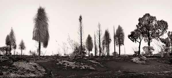 澳大利亚珀斯Mark Boyle摄影师作品-Monoscapes黑白风景---酷图编号6