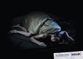 奥地利Momax家居平面设计