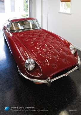 美国Viagra平面广告--以不同的方式看世界