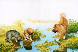 欧美We Are Puppies我们是小狗