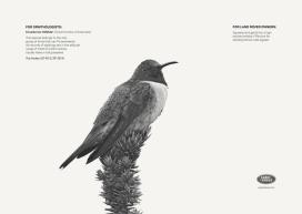 路虎2011创意平面广告-Luminous Millipede夜光千足虫