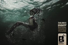 美国Fundacion Rio Baker动物保护公益与非盈利组织平面广告