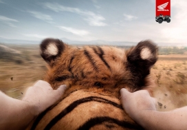 本田HONDA汽车服务平面