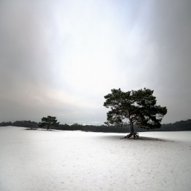 美国PORTRAITS VII黑白景色摄影
