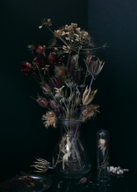 欧美vanités花瓶艺术插画