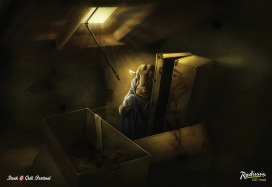 印度GRT Radisson食品平面广告