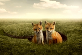 A Series of Day Dreams一个系列的白日梦