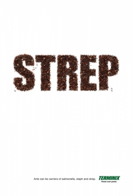 欧美Terminix专业害虫管理服务商平面广告