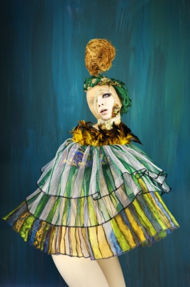 国外birds鸟类人像