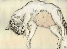 美国纽约Drawings from Queens, New York插画