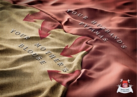 Bonux保洁公司平面广告