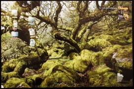 Go Outside平面广告