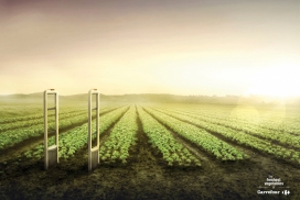 法国家乐福超市平面设计-新鲜蔬菜